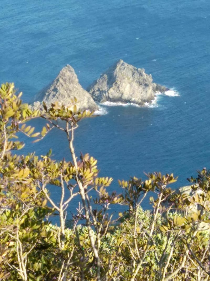A la découverte des deux frères, forêt de Janas - Six-Fours-les-Plages