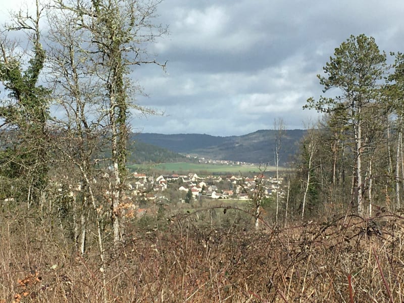 Belle balade dans la vallée de l'Ouche - Fleurey-sur-Ouche