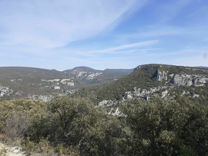 Dans le haut des Bassacs - Saint-Saturnin-lès-Apt