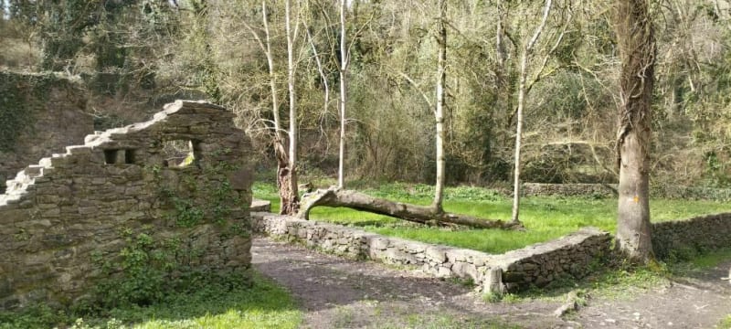 La vallée du Moulin de la Mer - Matignon