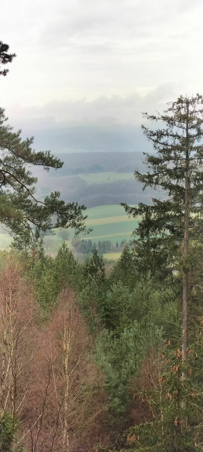 Petite balade au cœur de l'Alsace depuis Drachenbronn - Drachenbronn-Birlenbach