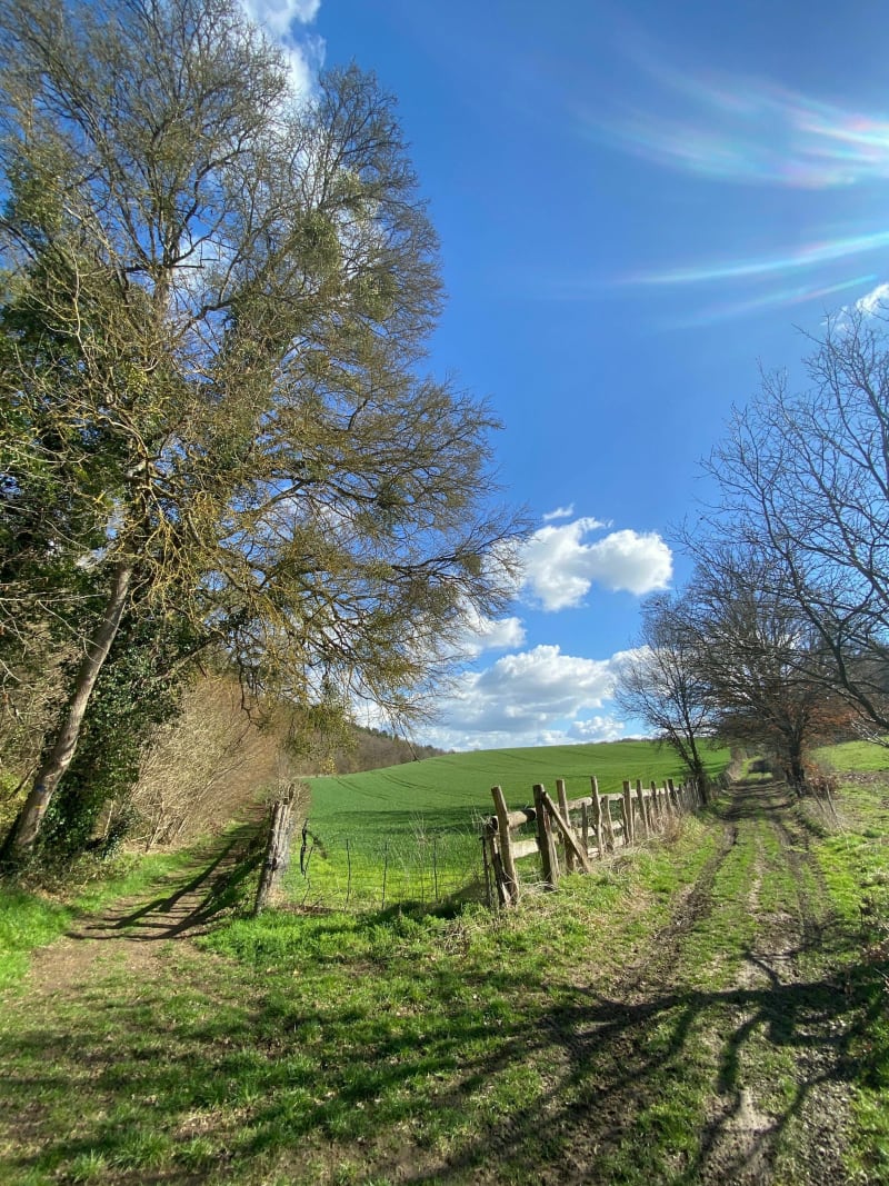 Balade de la mare aux loups - Grosley-sur-Risle