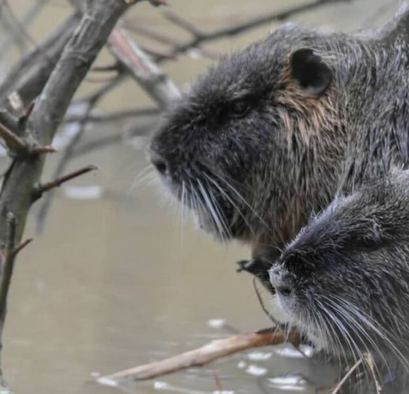 Se faire une rando nature à Angers - Angers