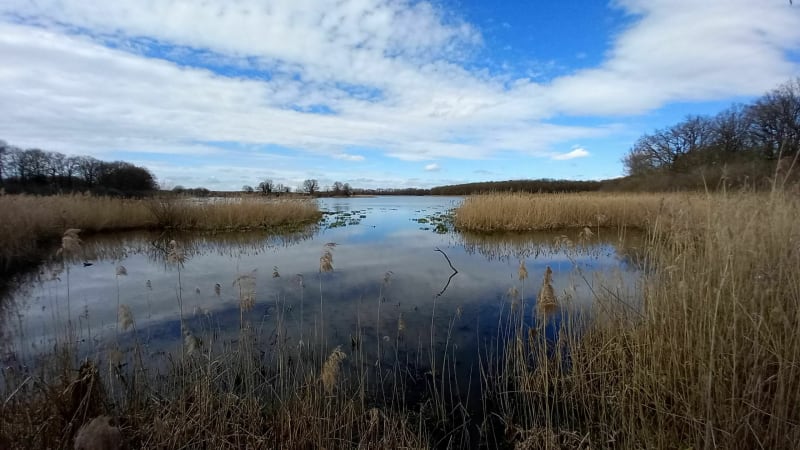 Découverte des étangs d'Outines - Giffaumont-Champaubert