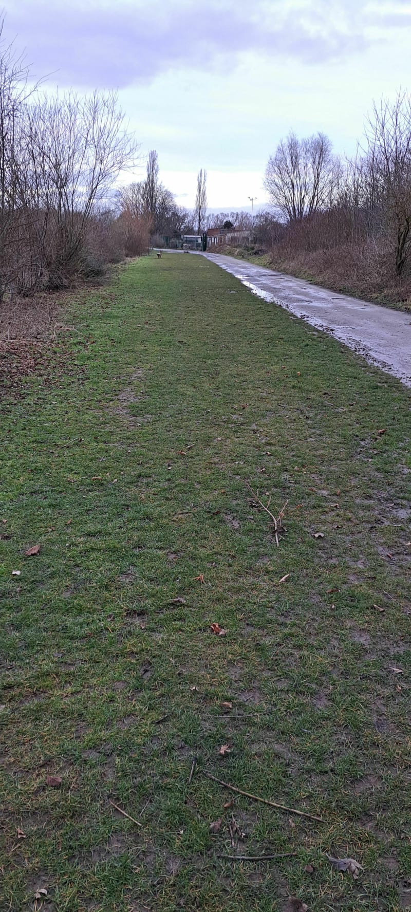 Balade près de l'aérodrome de Bondues - Bondues