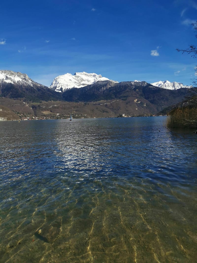 Boucle du centre équestre au lac d'Annecy - Sévrier