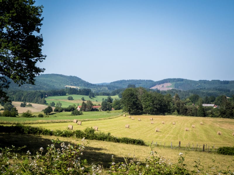 Saint Martin de Terressus : Boucle des châteaux - Saint-Martin-Terressus