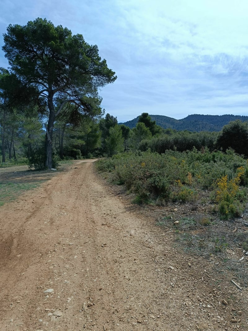 Petite boucle dans les collines de Septèmes et Simiane à VTT - Bouc-Bel-Air
