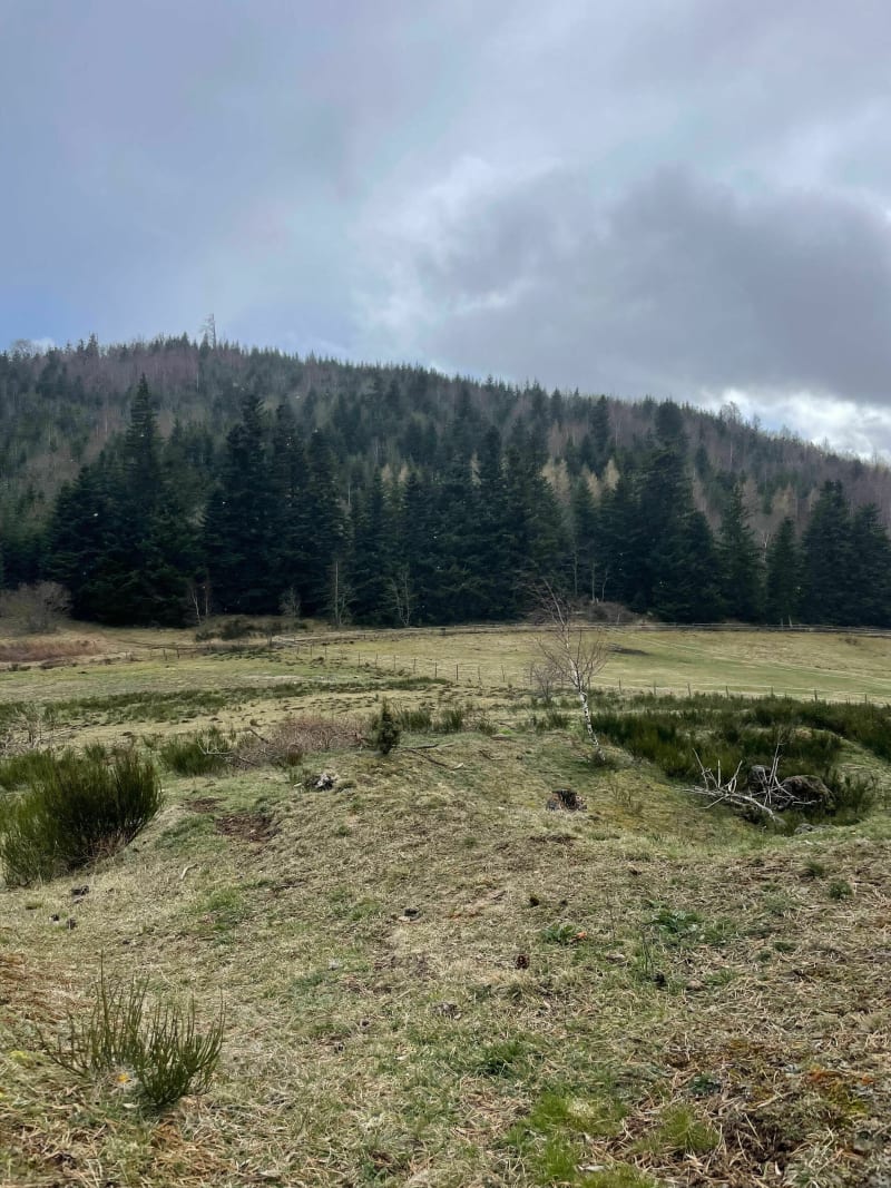 Puy de la Rodde, Puy Nain et Puy de la Combegrasse - Aydat