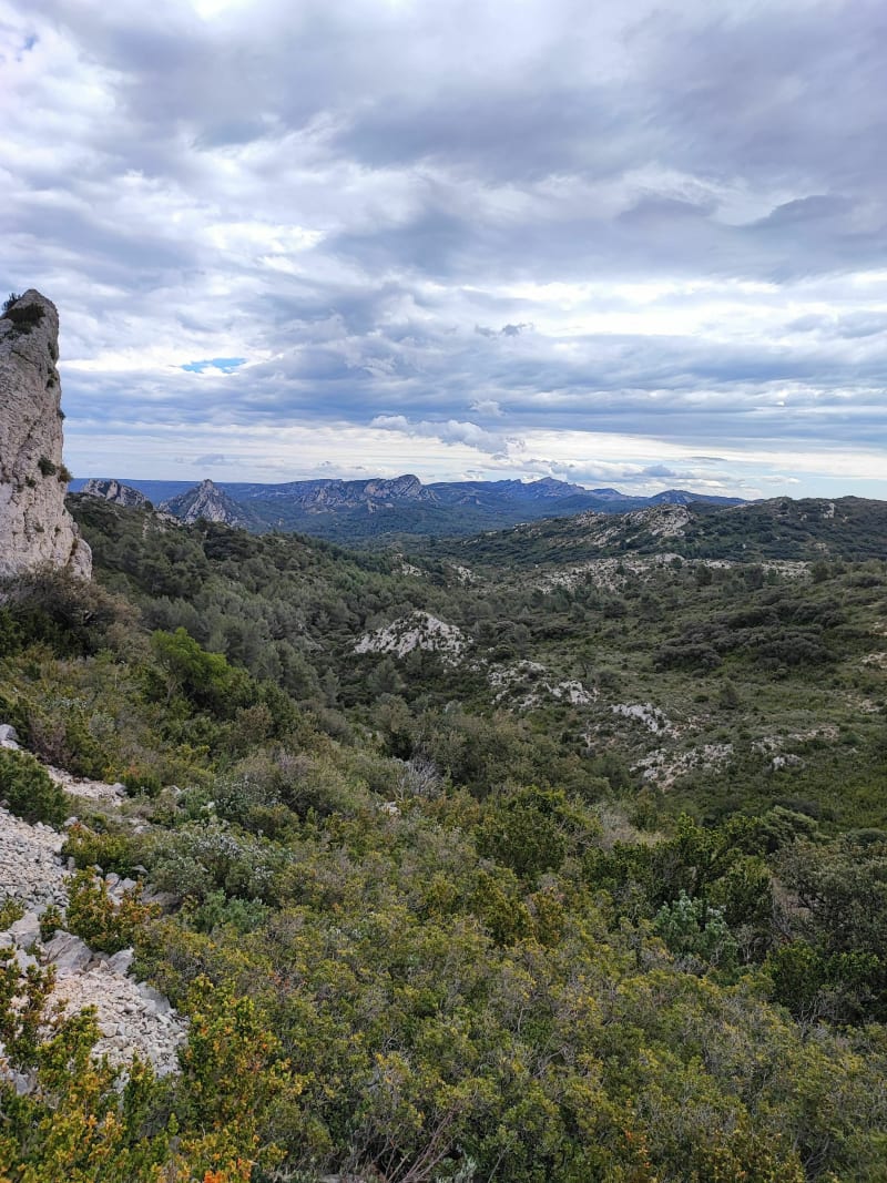 Saint Rémy de Provence et le Plateau de la Caume - Saint-Rémy-de-Provence