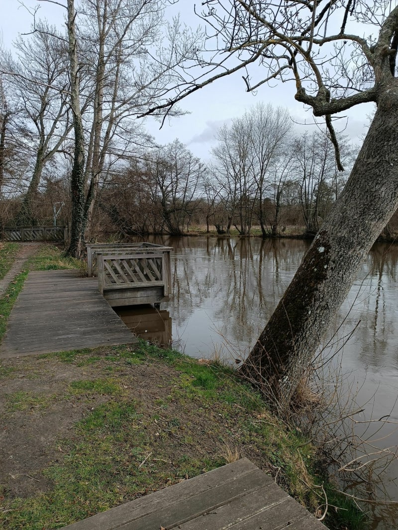 Balade entre Sauldre et forêt à VTC - Romorantin-Lanthenay