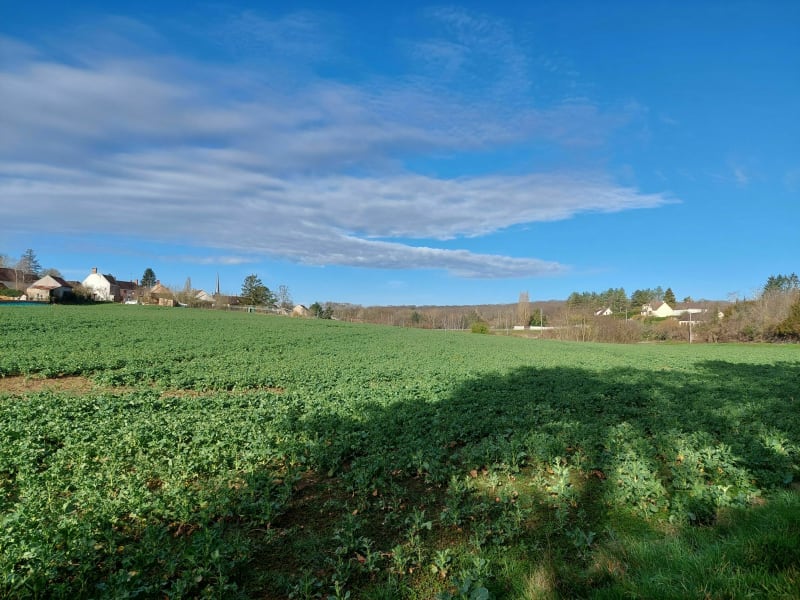 La chapelle Saint Sépulcre côté sud - La Chapelle-Saint-Sépulcre
