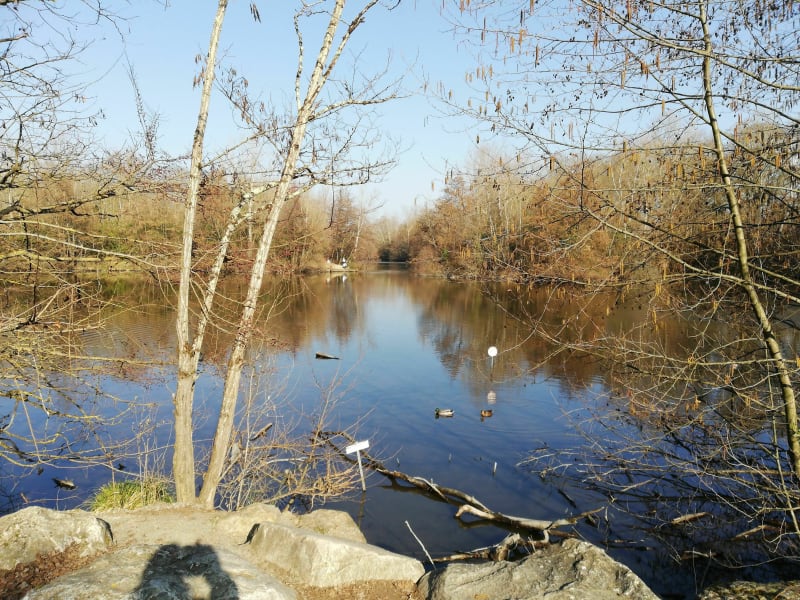 Promenade bucolique au cœur de Tournefeuille - Tournefeuille