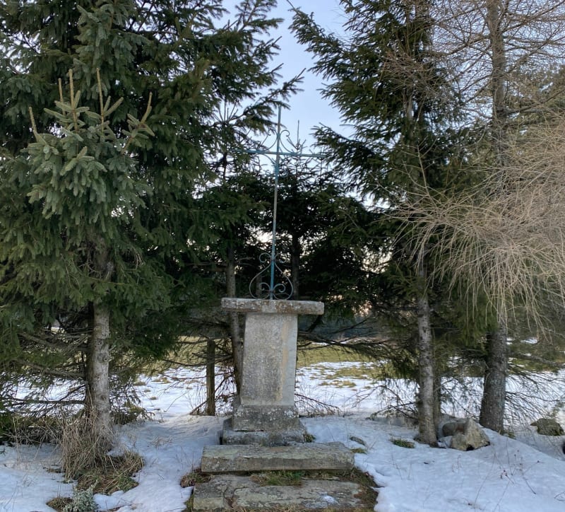 Immersion dans le bois Ternay et remontée par La Croix Verte - Saint-Genest-Malifaux