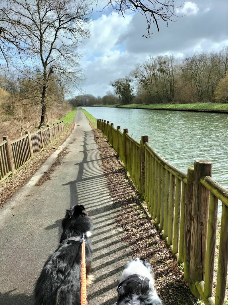 Balade le long du canal depuis Morlincourt - Morlincourt
