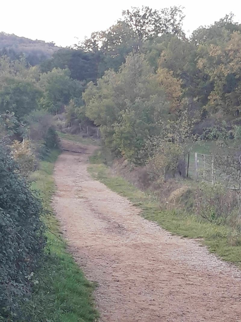 Autour de Cournon et les Falaise de Malmouche le long de l'Allier - Cournon-d'Auvergne