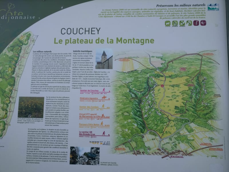 Plateau de Couchey - Couchey