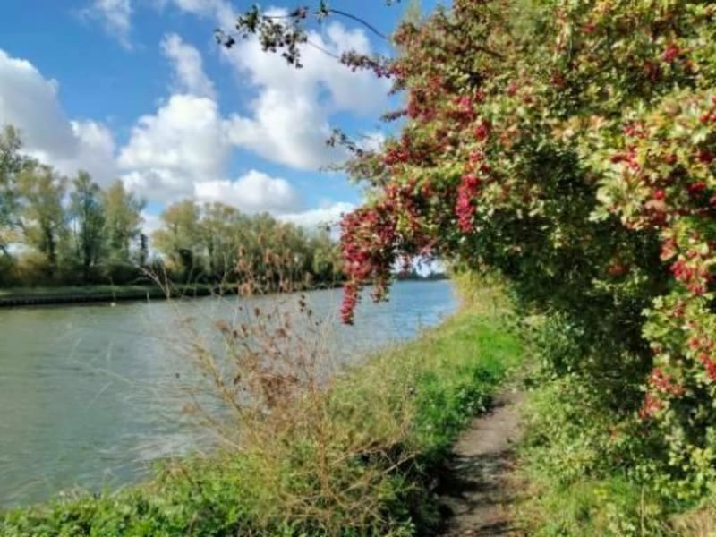 Balade dans les champs, les bois et le long du canal de Salomé - Salomé
