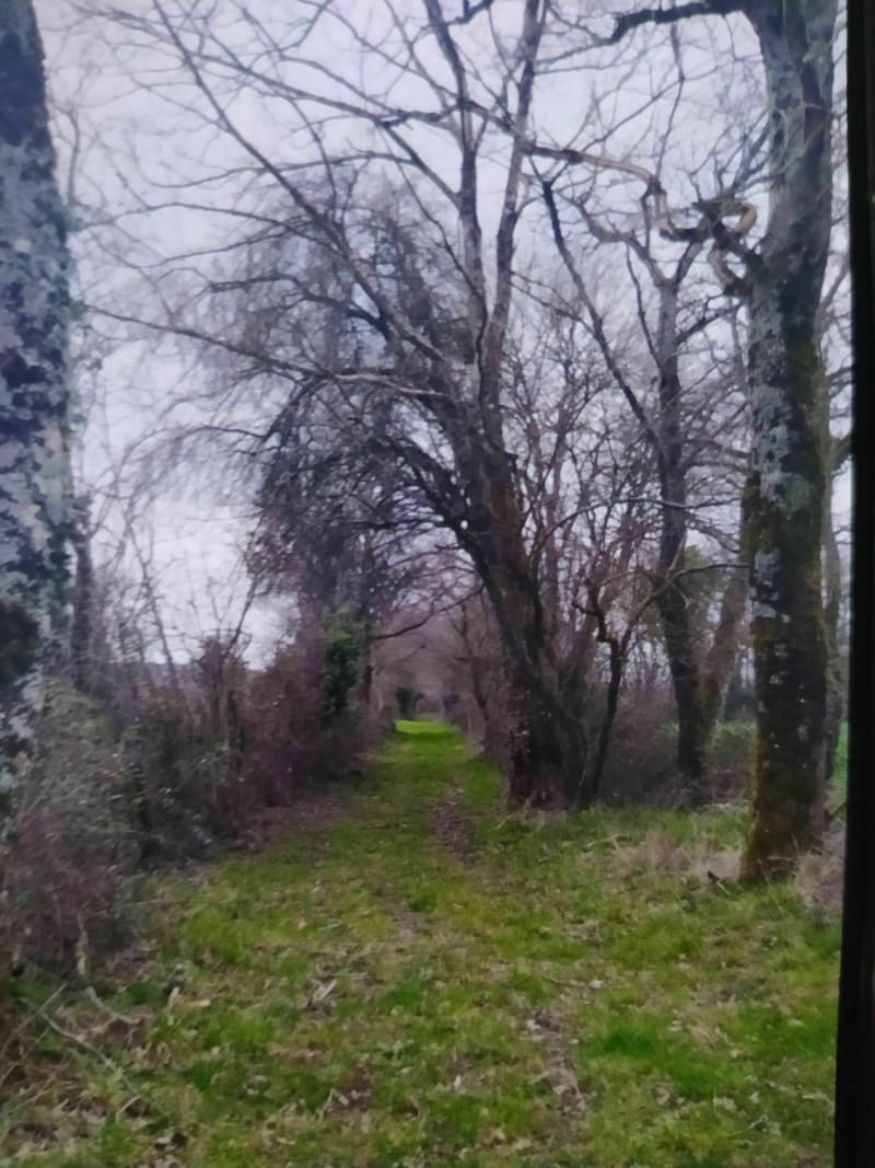 Au détour des commerçants de Mérié. Chemins, champs et route - Méry-és-Bois