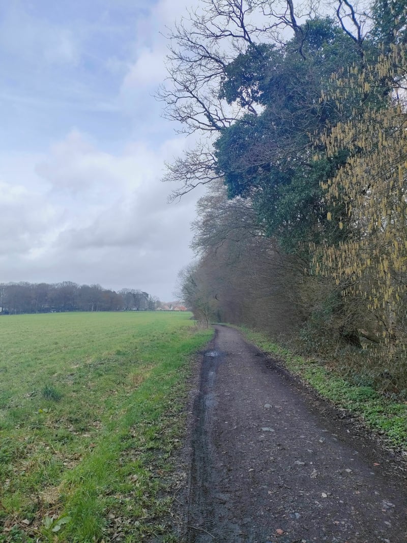 Chemin de Houchin a Verquin - Houchin