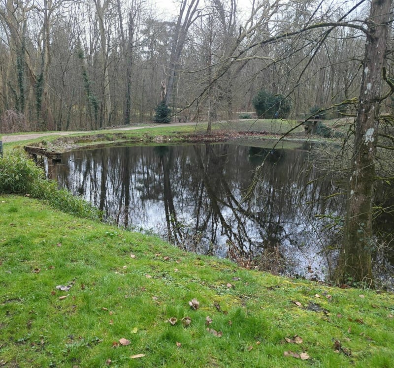 La promenade du domaine de Saint Thibault - Montgé-en-Goële