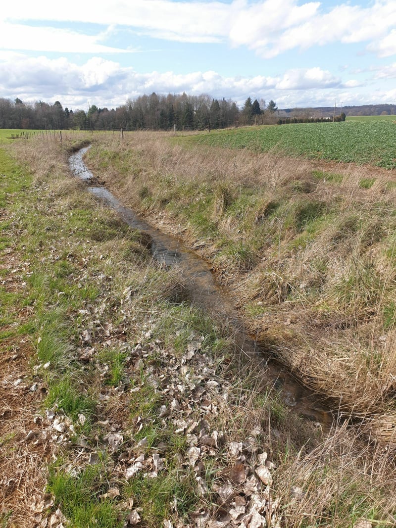 En pure campagne de Cutry à Ugny à VTC - Cutry