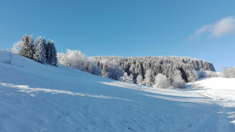 Tour du Mont Bénand en famille - Bernex