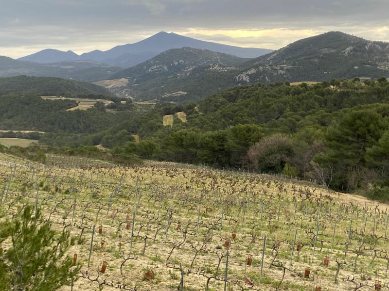 Balade autour de Gigondas - Gigondas
