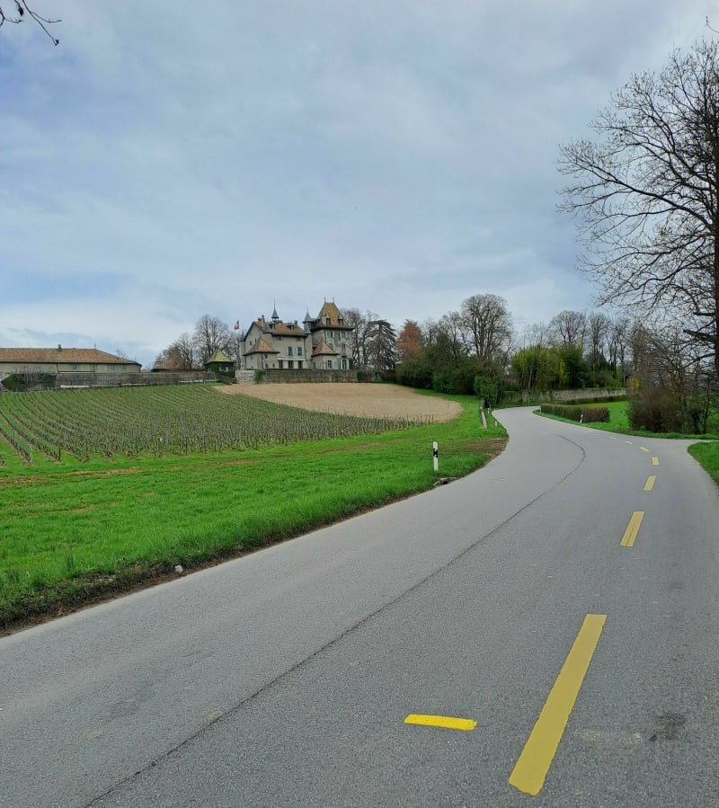 Jussy et vignobles genevois - Veigy-Foncenex