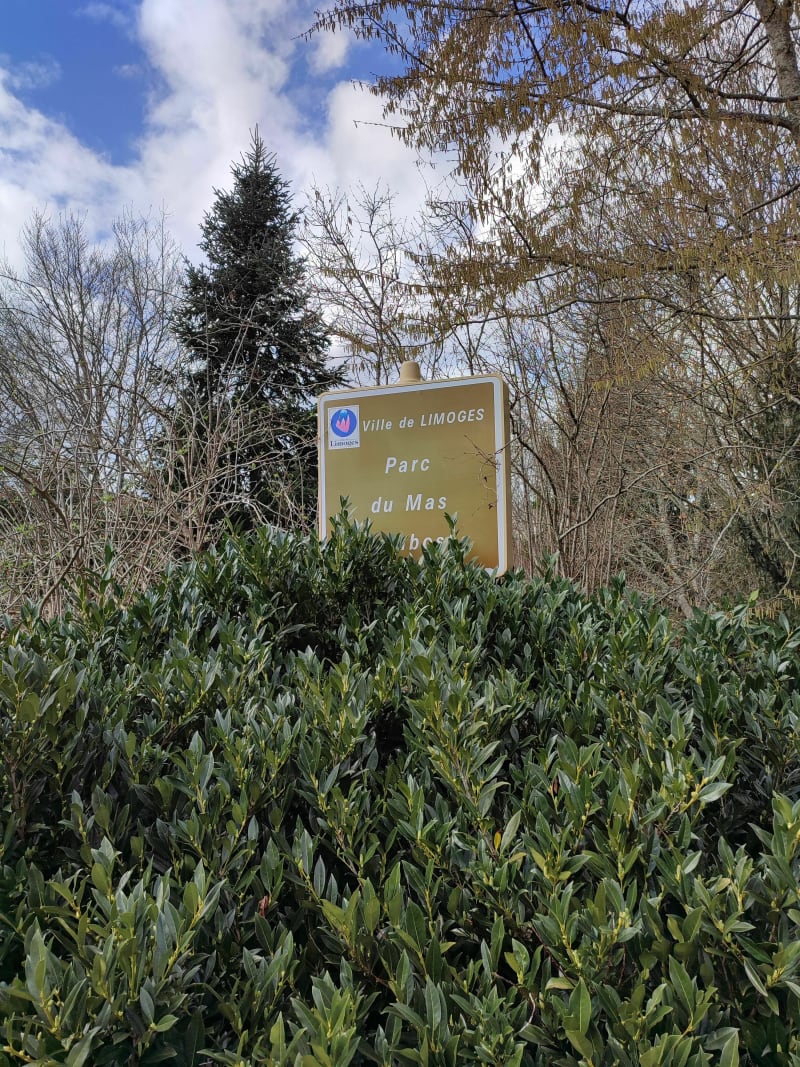 Non loin de l'Aurence depuis le parc du Mas Jambost - Limoges