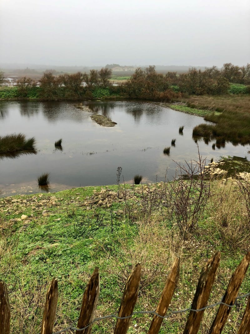 Sentier des 5 paysages Sainte-Marie de Ré - Sainte-Marie-de-Ré
