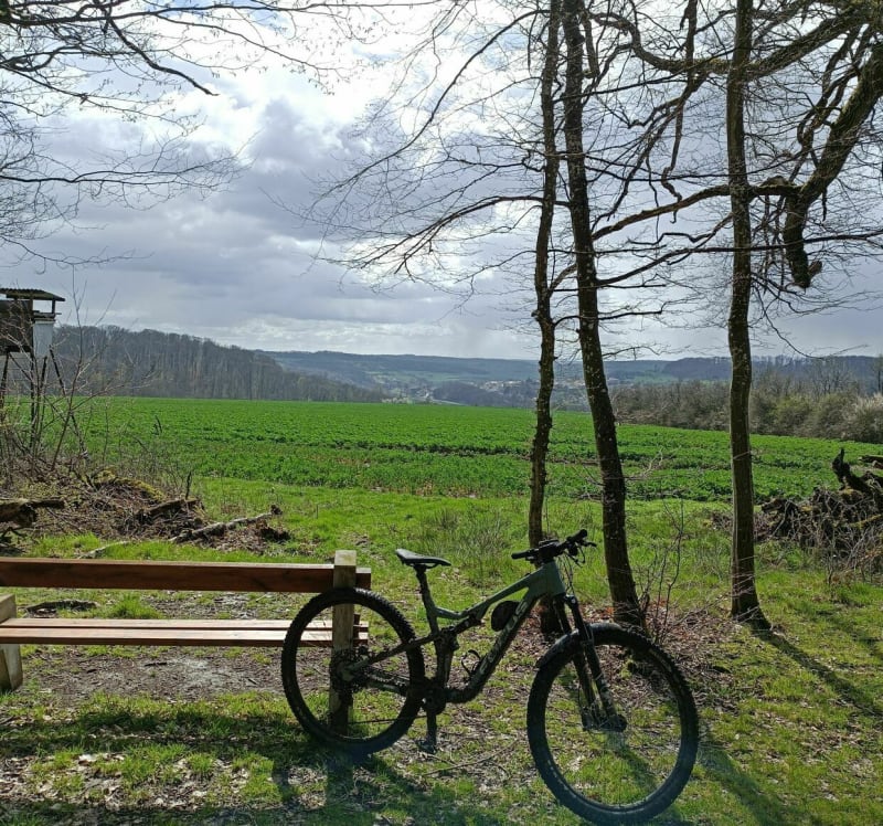 Entre la Blies et la Sarre - Sarreguemines