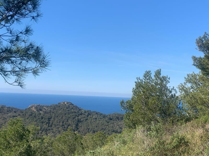 Piste Francillon au départ de Janas - La Seyne-sur-Mer