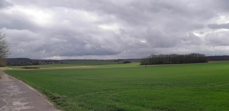 Rando autour de Dormelles - Dormelles
