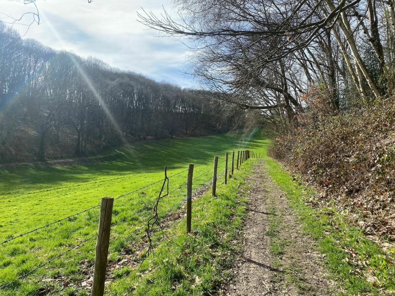 Du Pont Navarre à la route de la Pie - Saint-Nicolas-de-la-Taille