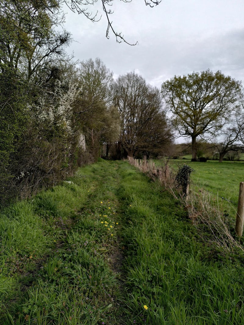 Tour à vélo autour de Montreuil-sur-Maine - Montreuil-sur-Maine