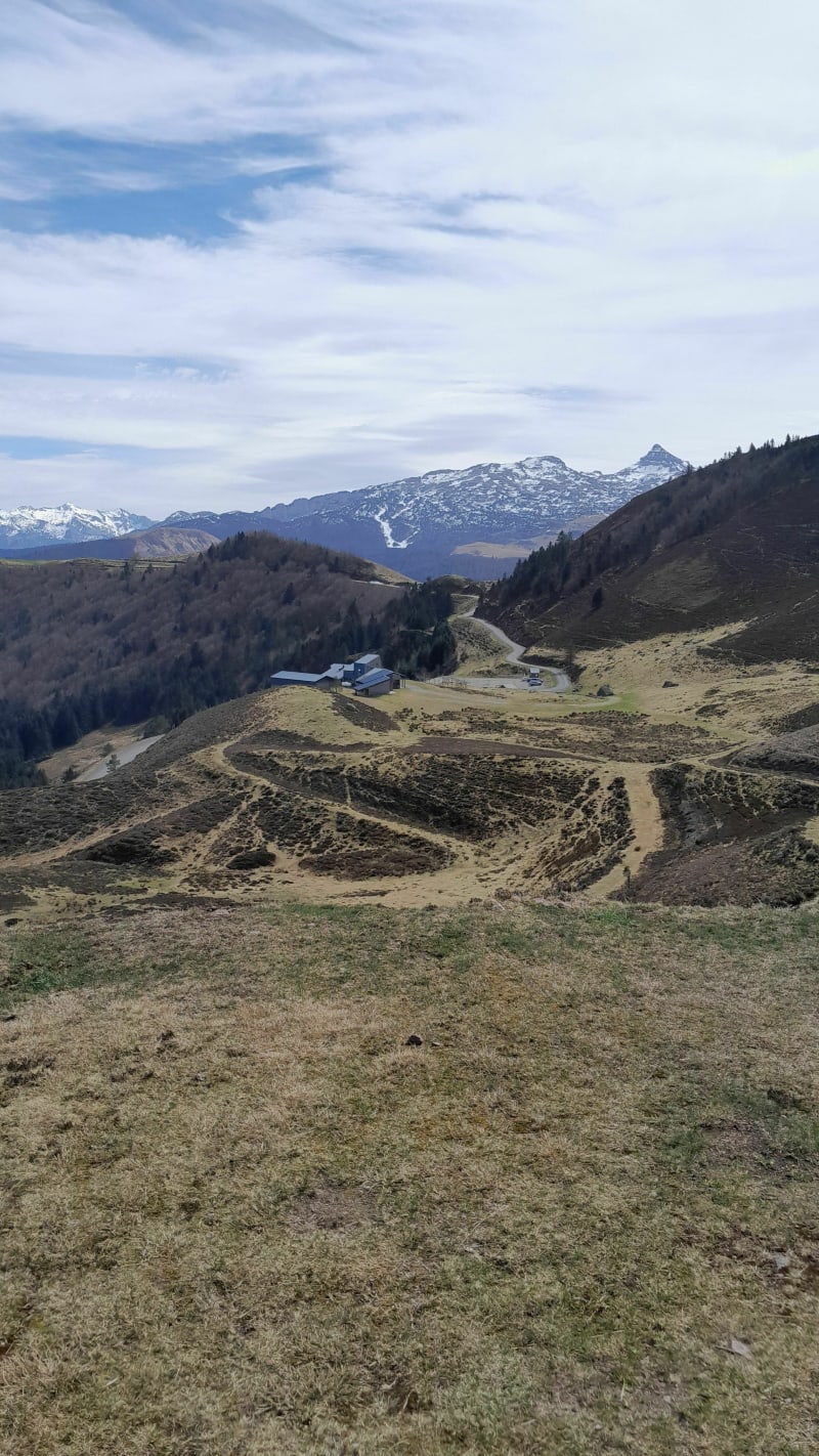 Tour sur les crêtes et en forêt à Issarbe - Lanne-en-Barétous