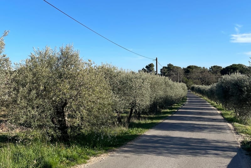 Découverte de la campagne de Puyricard - Aix-en-Provence