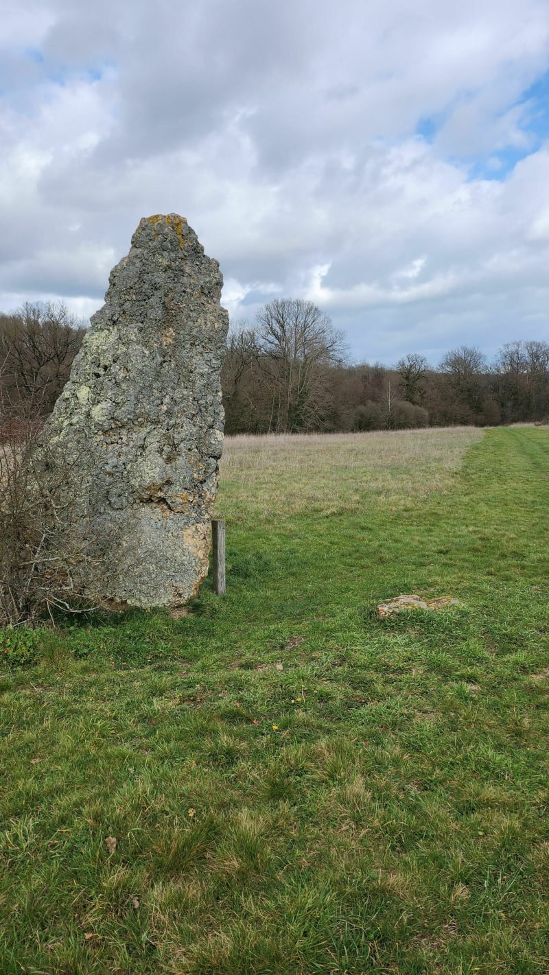 Petit balade autour de château la Valliere - Château-la-Vallière