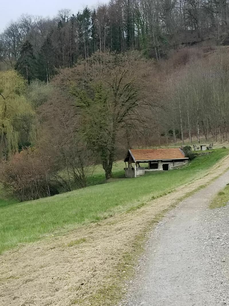 Wandelen in het bos van Argonne. - Châtel-Chéhéry