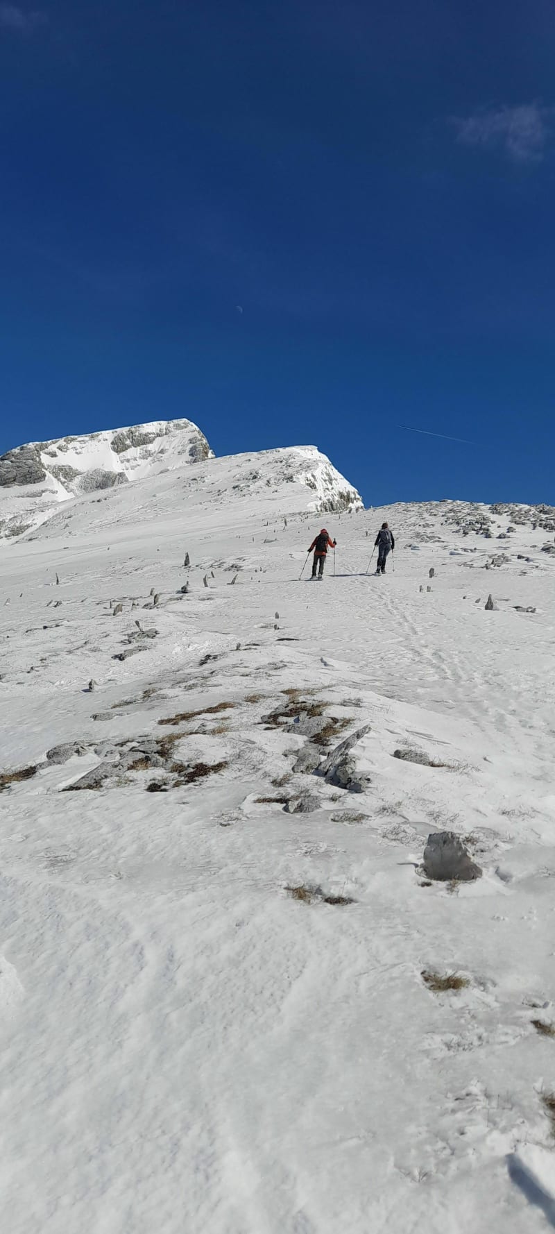 La petite Moucherolle de Corençon - Corrençon-en-Vercors