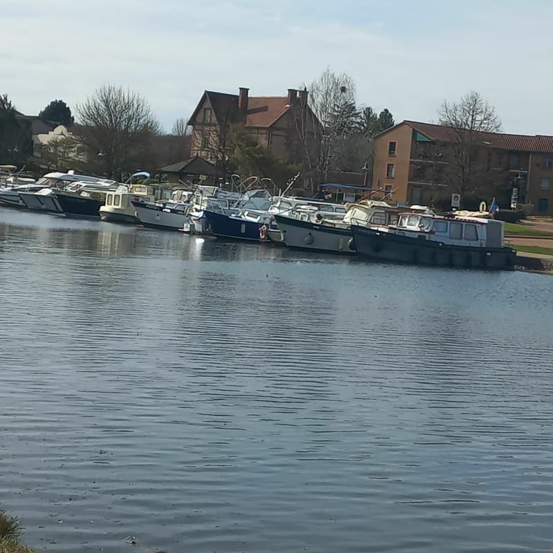 Petite balade au fil de l'eau à Briennon - Briennon