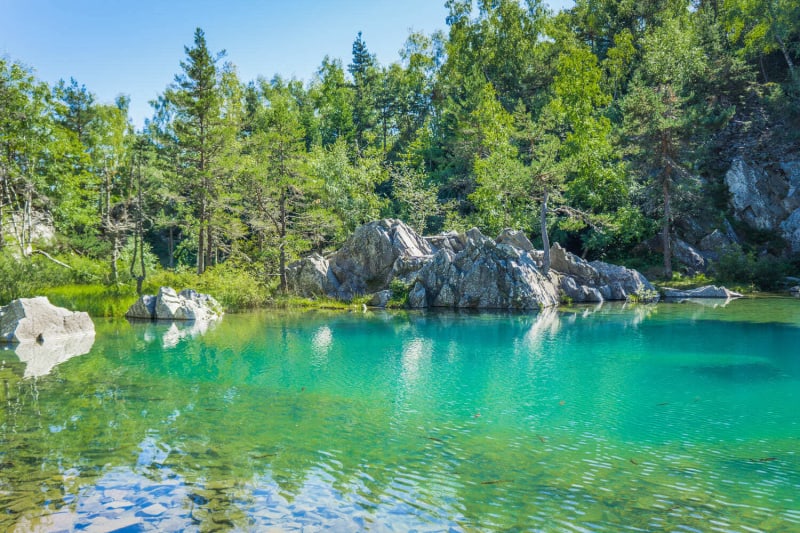 Excursion forestière entre Lac Bleu et Testavoyre - Champclause