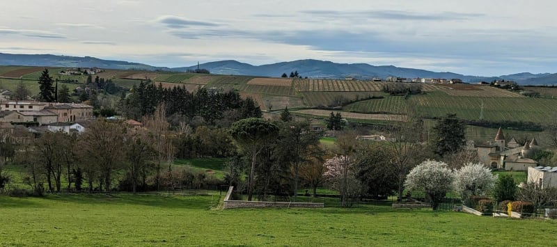 Autour de Pommiers à pied - Pommiers