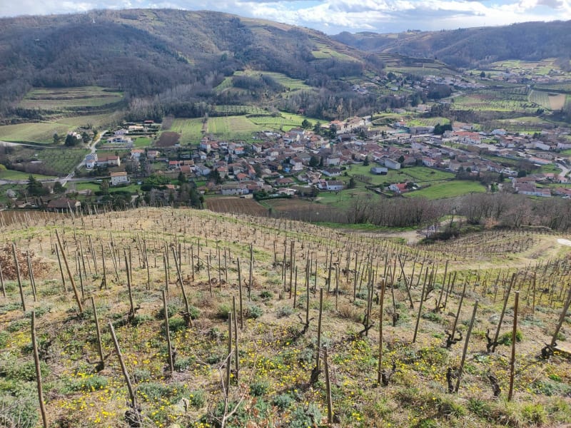 Saint Desirat - Champagne