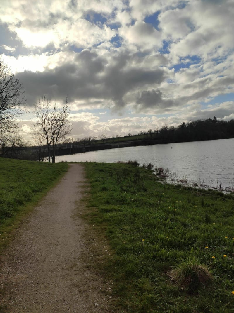 Gravel vers Rochereau - Chantonnay