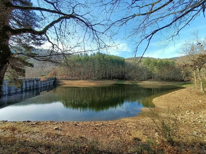 Rando - Parcours des Cerisiers - Thurins