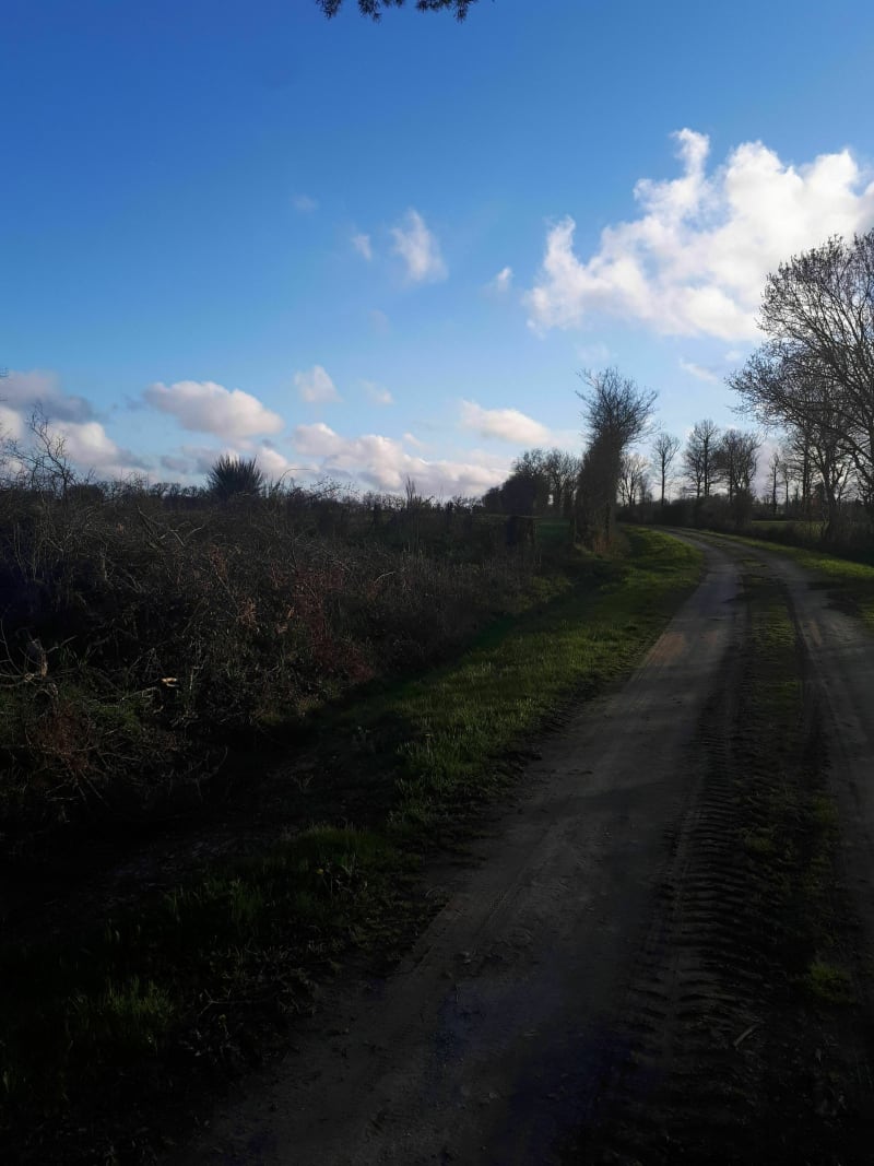 De La Ferrière à La Roche-sur-Yon via La Chaize-le-Vicomte - La Ferrière