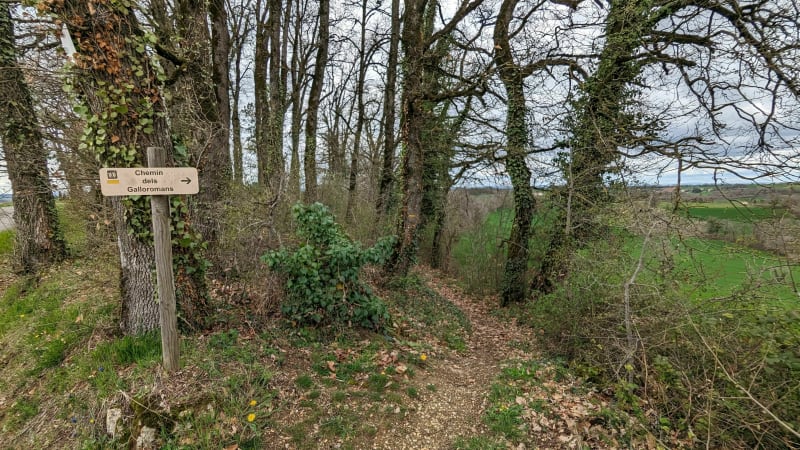 Rando VTT/Gravel Lombers - Lombers