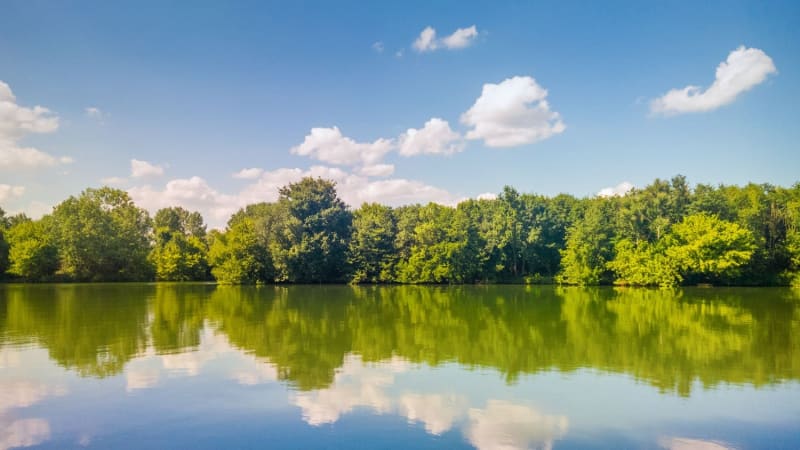 Petit tour autour du plan d'eau de Wingles - Wingles